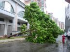 台風バビの上陸により中国で数百万人が避難