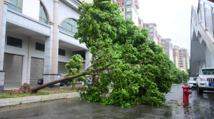 台風バビの上陸により中国で数百万人が避難