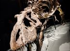 T-レックスの化石はオークションで数百万で売られる見込みでしたが、科学者たちは満足していません